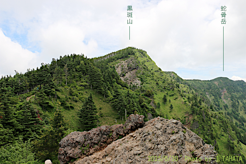 toominokashira_1