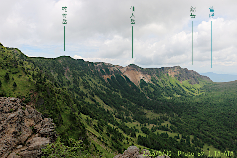 toominokashira_2