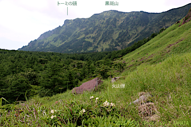 yunotaira_2