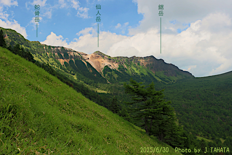 yunotaira_8