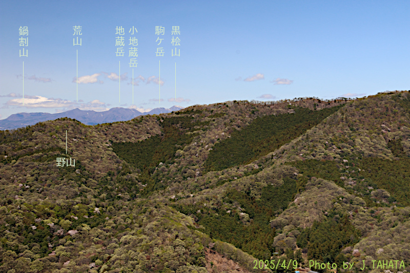 tenguyama-ashikaga_14