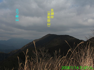 sankodai_10